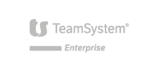 Logo TeamSystem Enterprise
